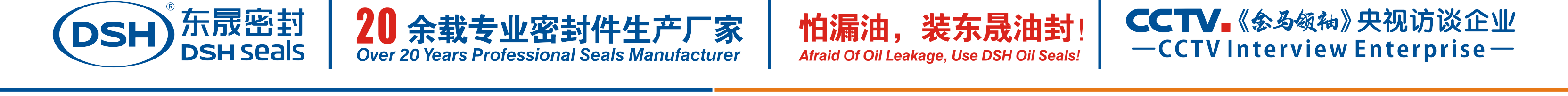 怕漏油，裝東晟油封！