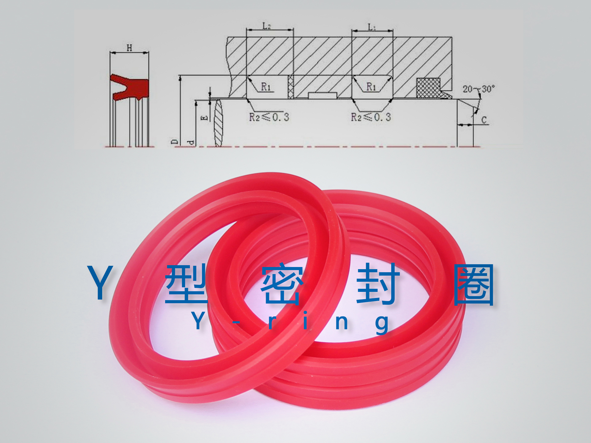Y型密封圈（密封件、油封）與截面結構產品圖