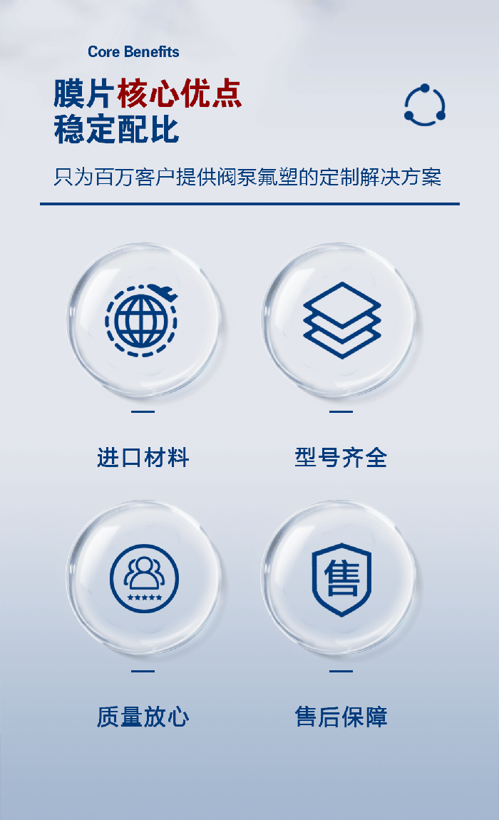 1-計(jì)量泵膜片3-產(chǎn)品詳情頁(yè)-模板_01米頓羅進(jìn)口PTFE四氟鐵氟龍計(jì)量泵膜片隔膜密封件 (3)