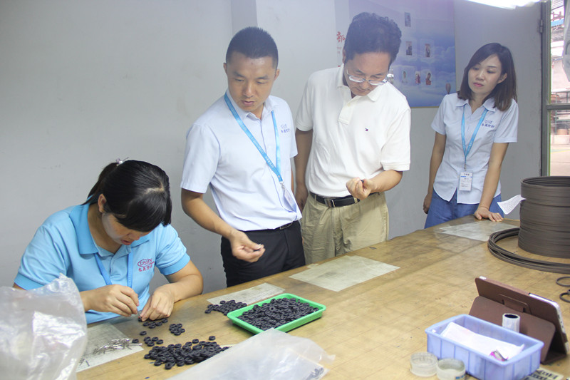 歡迎江蘇省建筑減震（結構消能減震）行業(yè)領導來訪東晟密封件廠家參觀