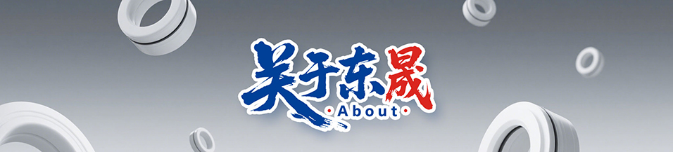東晟優(yōu)勢 - 廣東東晟密封科技有限公司1