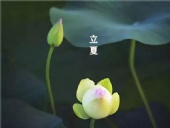 立夏已至，萬物向陽；